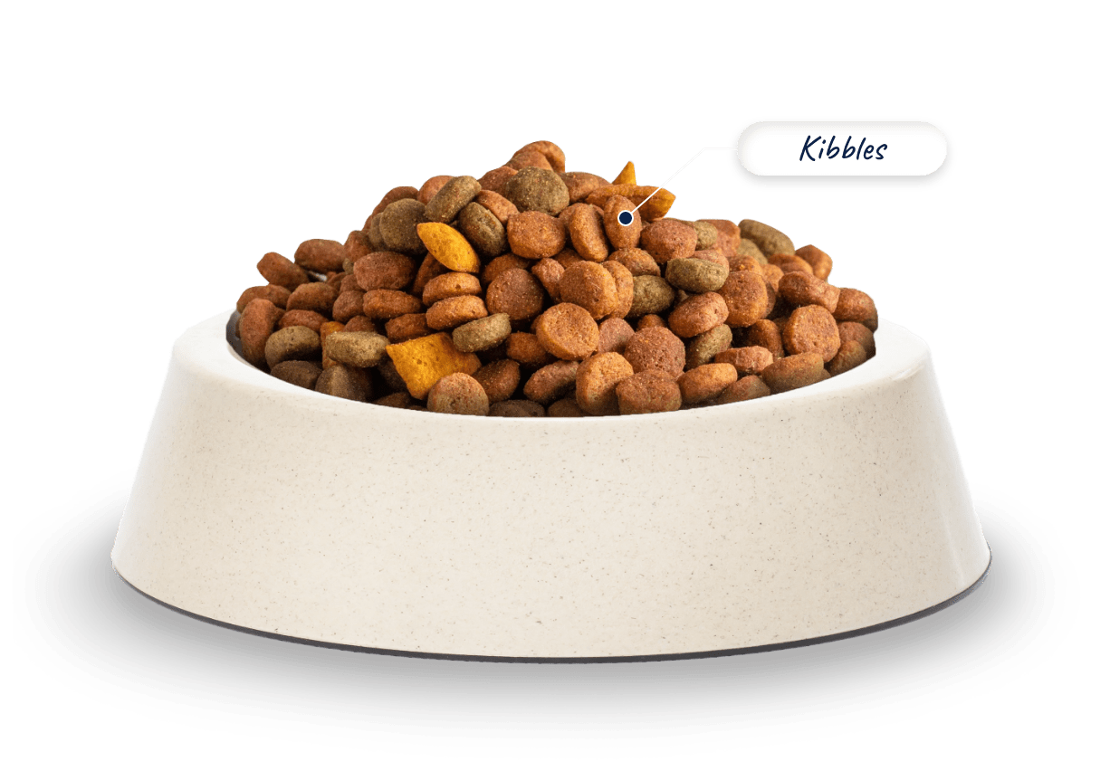 kibbles-bowl